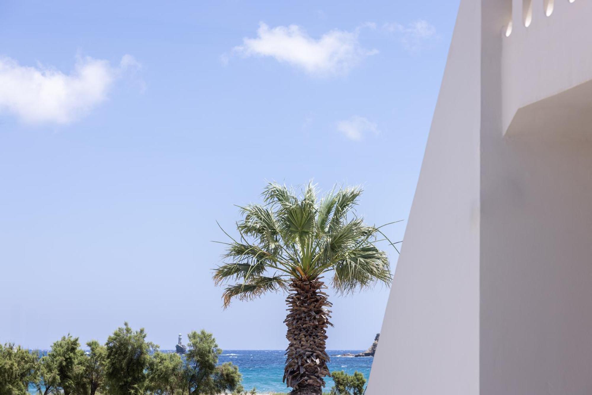 Rodavgi Apartments Andros Town Exterior foto